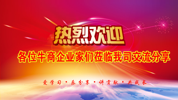 六安電商沙龍會(huì )議.jpg