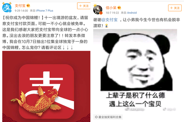 支付寶轉發(fā)錦鯉活動(dòng)
